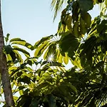 别墅 Parcelas Del Golf Private Pool Family Escape *