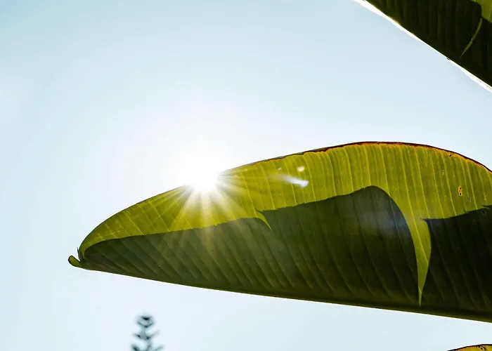 Parcelas Del Golf Private Pool Family Escape