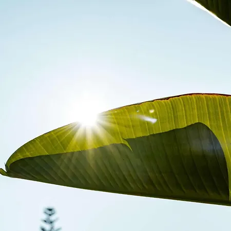 Parcelas Del Golf Private Pool Family Escape